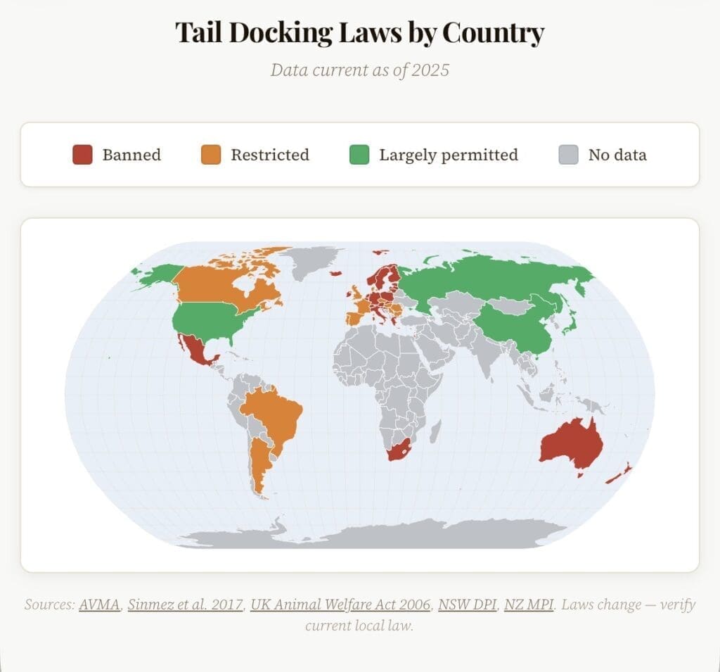 Tail Docking Laws by Country — 2025 World map showing tail docking laws by country. Red indicates banned, orange indicates restricted, green indicates largely permitted, and grey indicates no data. Most of Europe, Australia, New Zealand, South Africa, and Mexico are shown in red. The United States, Russia, China, and Japan are shown in green.